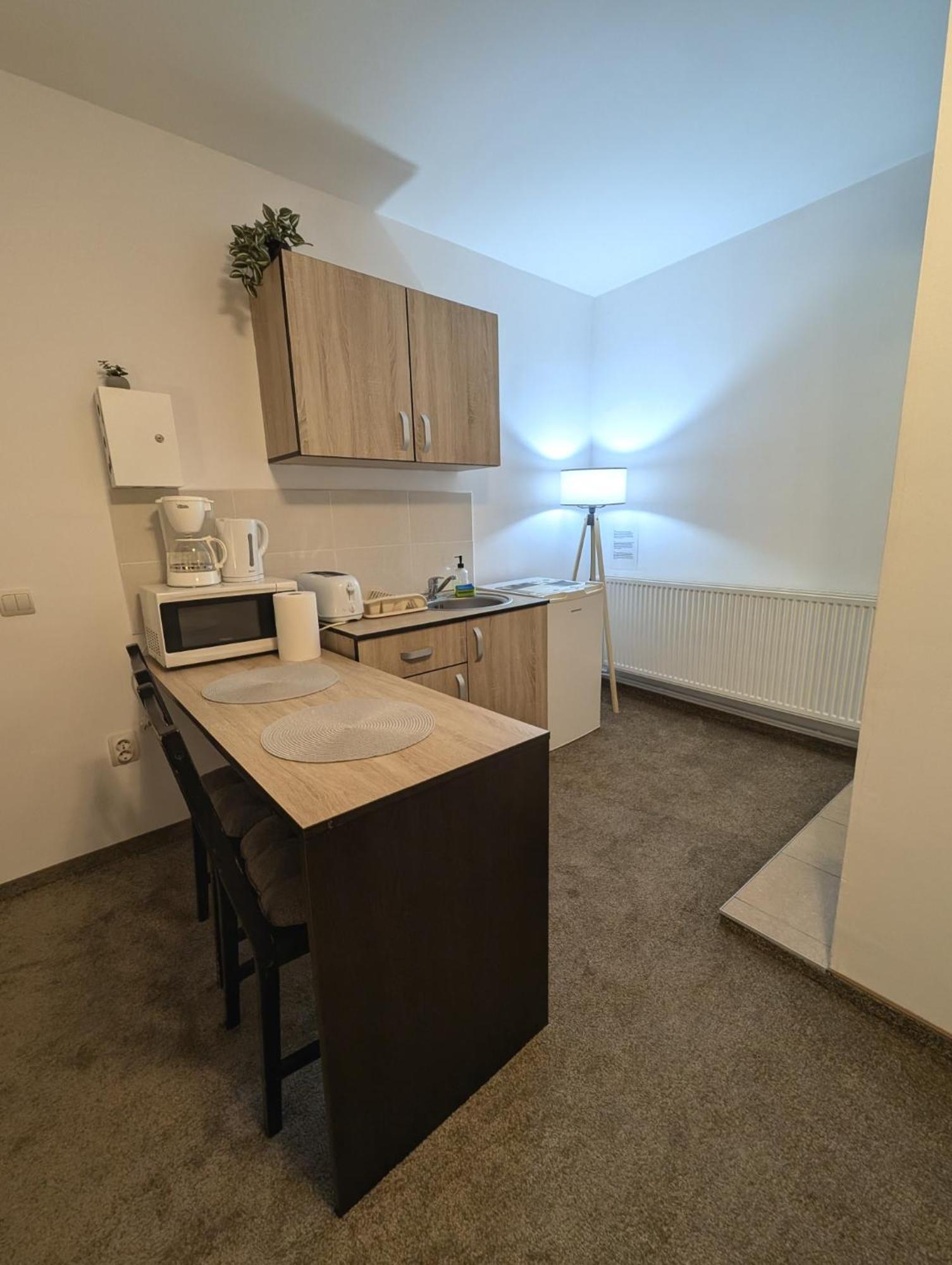 Sandor Central Studio Apartment Târgu-Mureş Eksteriør billede